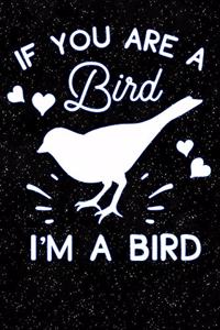If You Are a Bird Im a Bird