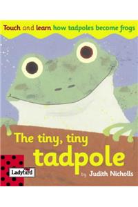 Touch And Learn Tiny Tiny Tadpole (Touch & learn board books)