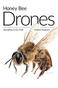 Honey Bee Drones