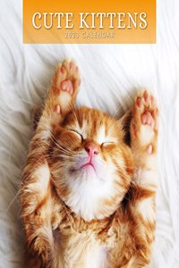 CUTE KITTENS 2023 SQUARE WALL CALENDAR