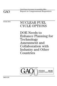 Nuclear fuel cycle options