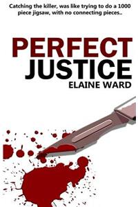Perfect Justice