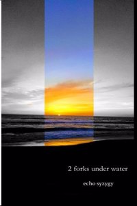 2 forks under water