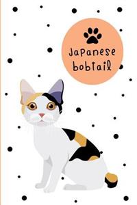 Japanese Bobtail