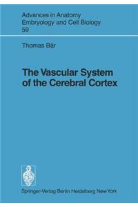 Vascular System of the Cerebral Cortex