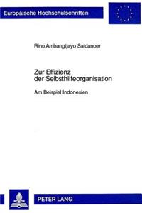 Zur Effizienz der Selbsthilfeorganisation