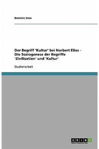 Der Begriff 'kultur' Bei Norbert Elias - Die Soziogenese Der Begriffe 'zivilisation' Und 'kultur'