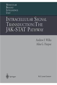 Intracellular Signal Transduction: The Jak-Stat Pathway