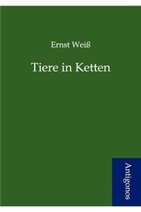 Tiere in Ketten