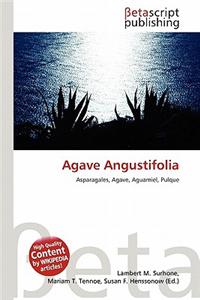 Agave Angustifolia