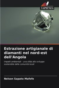 Estrazione artigianale di diamanti nel nord-est dell'Angola