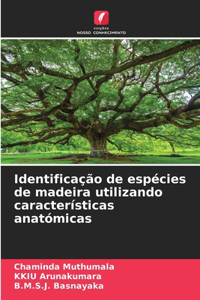 Identificação de espécies de madeira utilizando características anatómicas