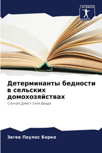 Детерминанты бедности в сельских домохо