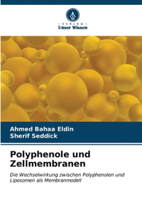 Polyphenole und Zellmembranen