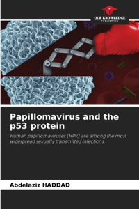 Papillomavirus and the p53 protein