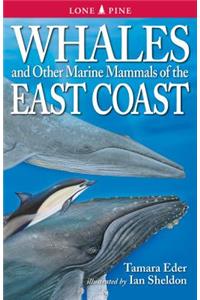 Whales and Other Marine Mammals of the East Coast