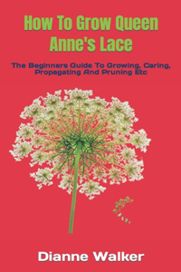 How To Grow Queen Anne's Lace