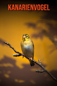 Kanarienvogel