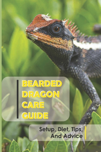 Bearded Dragon Care Guide