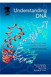 Understanding DNA