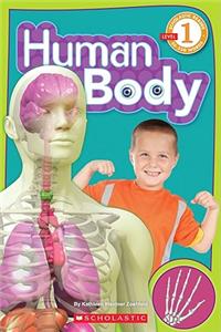 Human Body