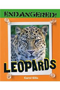 Leopards