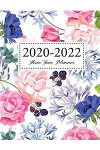 2020-2022 Three Year Planner