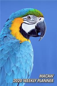 Macaw 2020 Weekly Planner