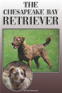 Chesapeake Bay Retriever