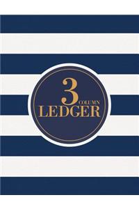 3 Column Ledger