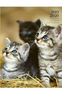 2019 2020 15 Months Cat Kitten Daily Planner