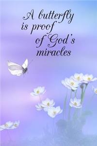 A butterfly is proof of God's miracles