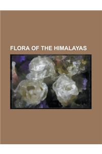 Seton Hall University School of Law Faculty