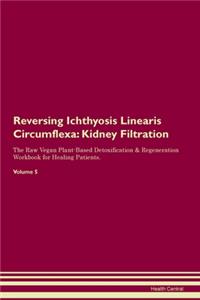 Reversing Ichthyosis Linearis Circumflexa: Kidney Filtration The Raw Vegan Plant-Based Detoxification & Regeneration Workbook for Healing Patients. Volume 5