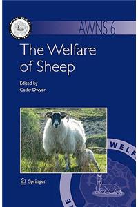 Welfare of Sheep