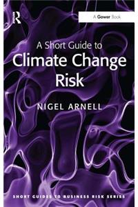 A Short Guide to Climate Change Risk