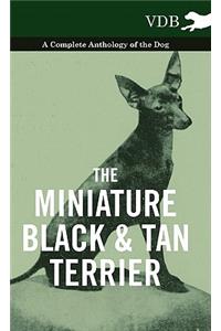 Miniature Black and Tan Terrier - A Complete Anthology of the Dog