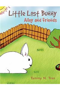 Little Lost Bunny