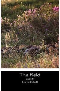 Field