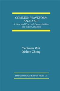 Common Waveform Analysis