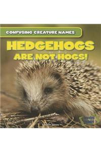 Hedgehogs Are Not Hogs!