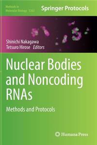 Nuclear Bodies and Noncoding Rnas