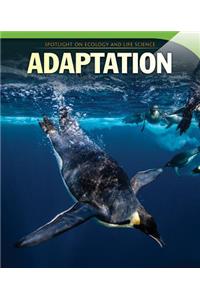 Adaptation