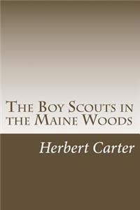 The Boy Scouts in the Maine Woods