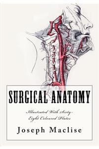 Surgical Anatomy
