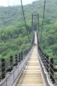 Suspension Bridge Journal