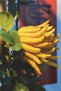 The Yellow Citron Journal