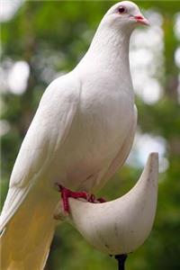 A White Dove Symbol of Peace Journal