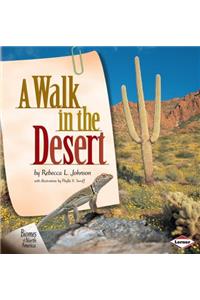 Walk in the Desert