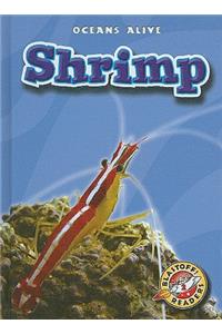 Shrimp